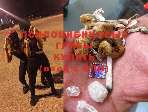 метадон Касимов