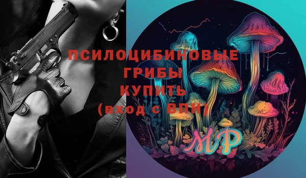 метадон Касимов