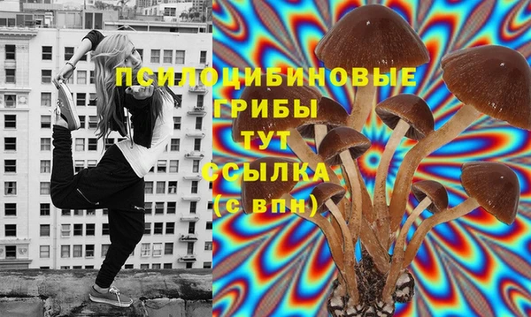 2c-b Карталы