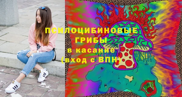 метадон Касимов