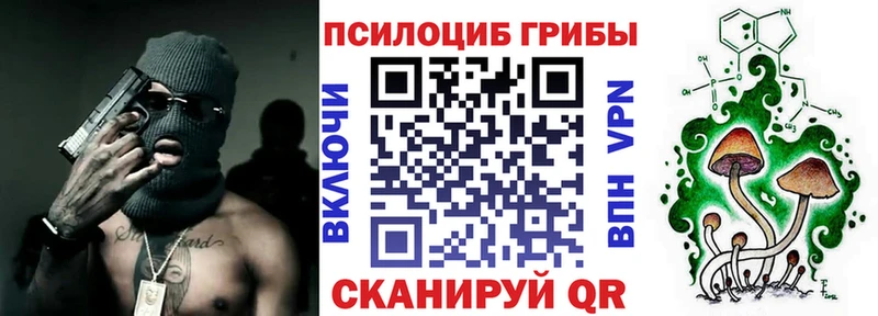 Псилоцибиновые грибы мухоморы  Купить где  Кингисепп 